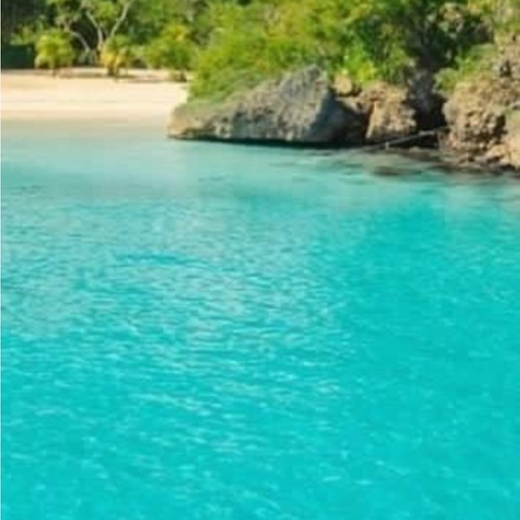 Meet your Posher, Andrea mcalester - Picture 1 of 1